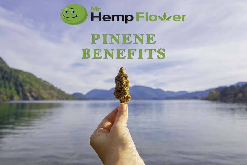 Pinene Benefits