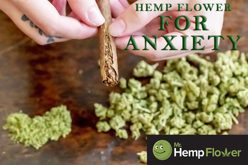 Hemp Flower For Anxiety