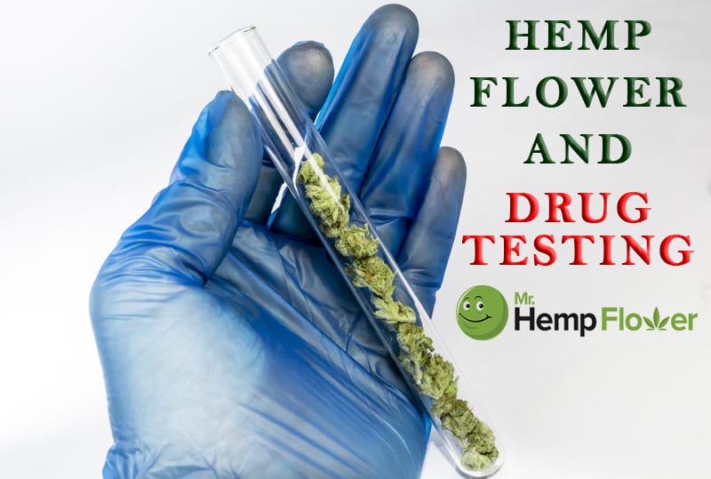 Hemp Flower and Drug Tests