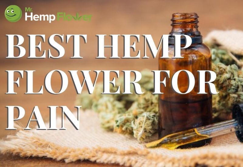 Best hemp flower for pain