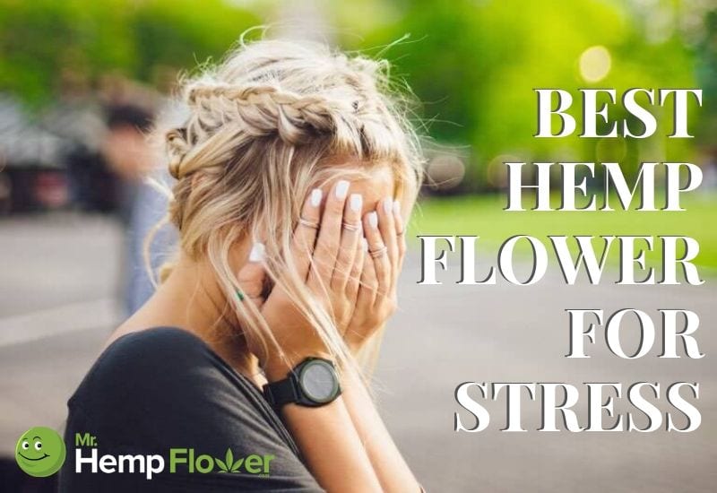 Best hemp flower for stress