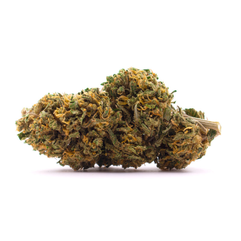 Suzy A Hemp Flower
