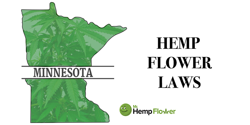 Minnesota Hemp Flower Laws