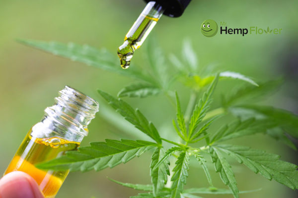 full spectrum cbd oil Georgia