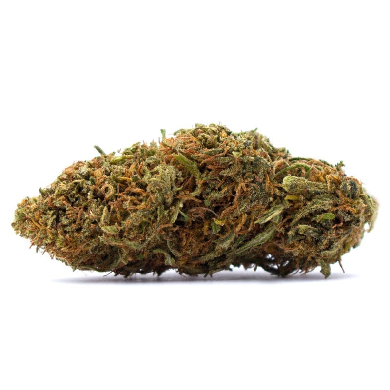 Lifter Plus CBD Hemp Flower