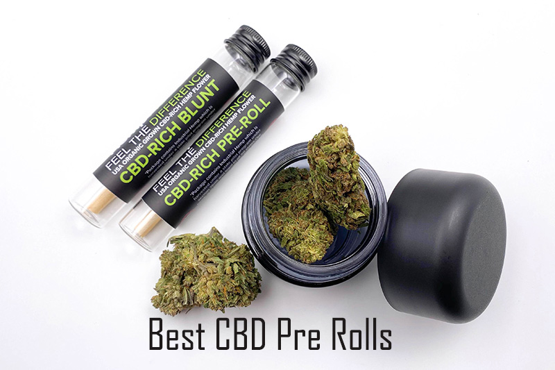 Best CBD Pre Rolls