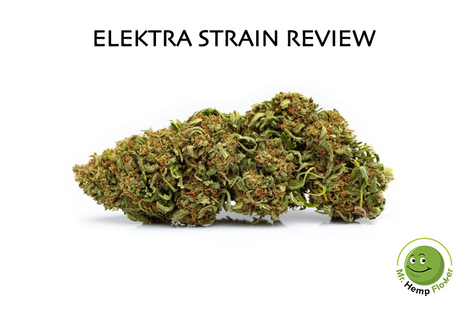 Elektra hemp strain review