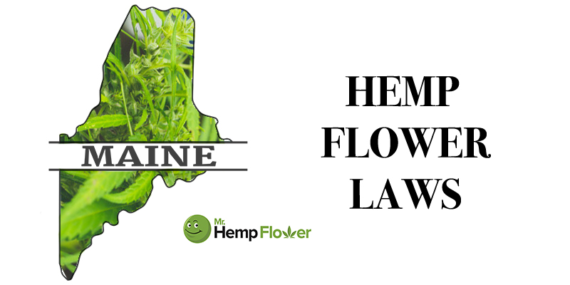 Maine Hemp Flower Laws
