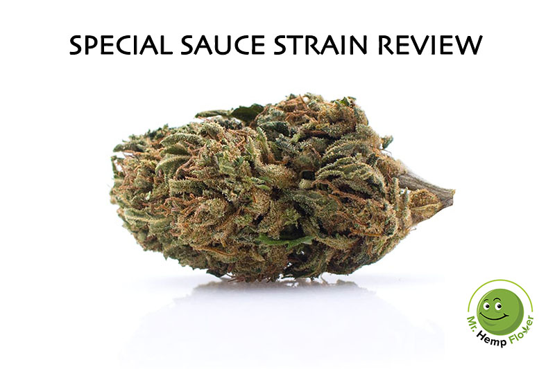 Special Sauce Hemp Strain Review