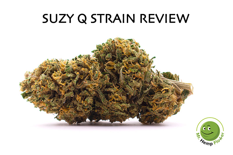 Suzy Q Hemp Flower Review