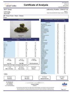 Cheese Strain Lab Report