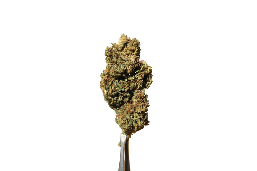 special sauce hemp flower