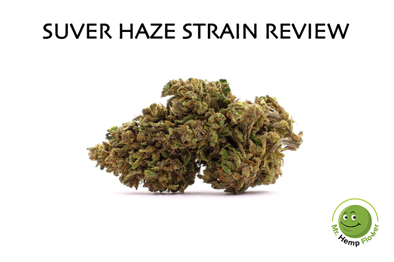 Suver Haze Review
