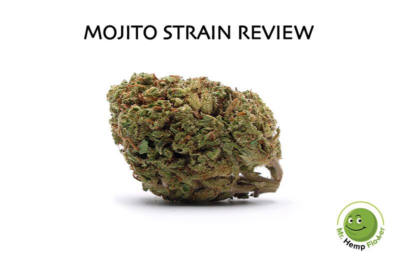 Mojito Strain Review