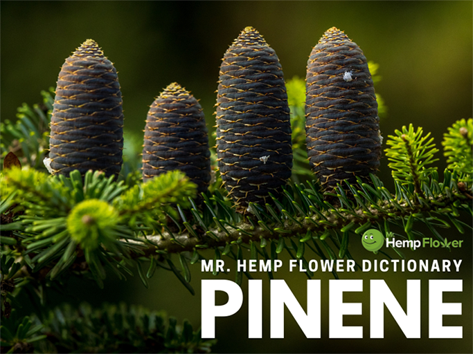 Pinene
