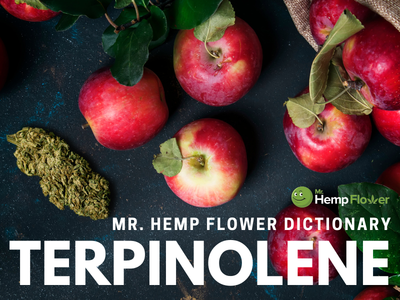 Terpinolene