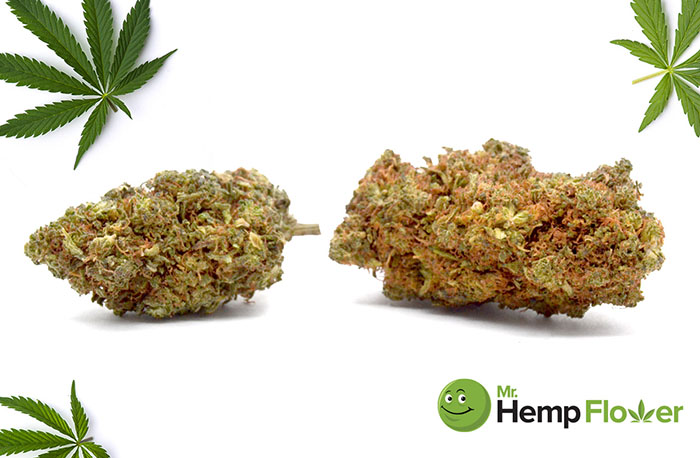 HHC Flower Alaska Laws