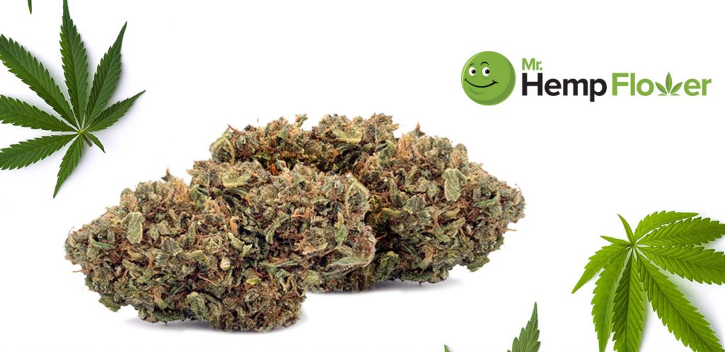 HHC Flower in Arizona Laws