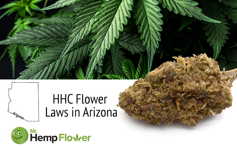HHC Flower in Arizona