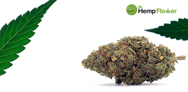 HHC Flower in California Laws