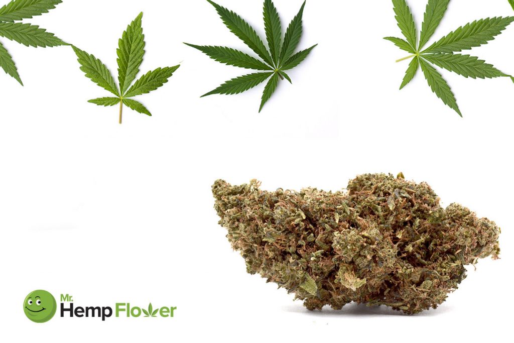 HHC Flower in Idaho Laws