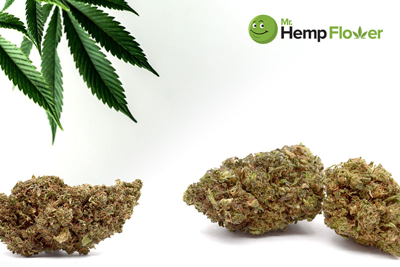 HHC Flower in Indiana Laws
