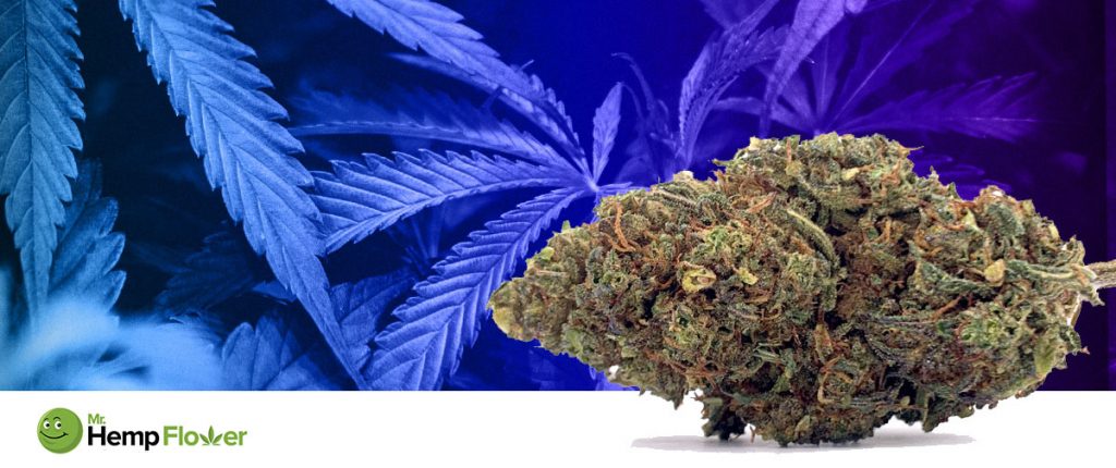 HHC Flower in Kansas Laws