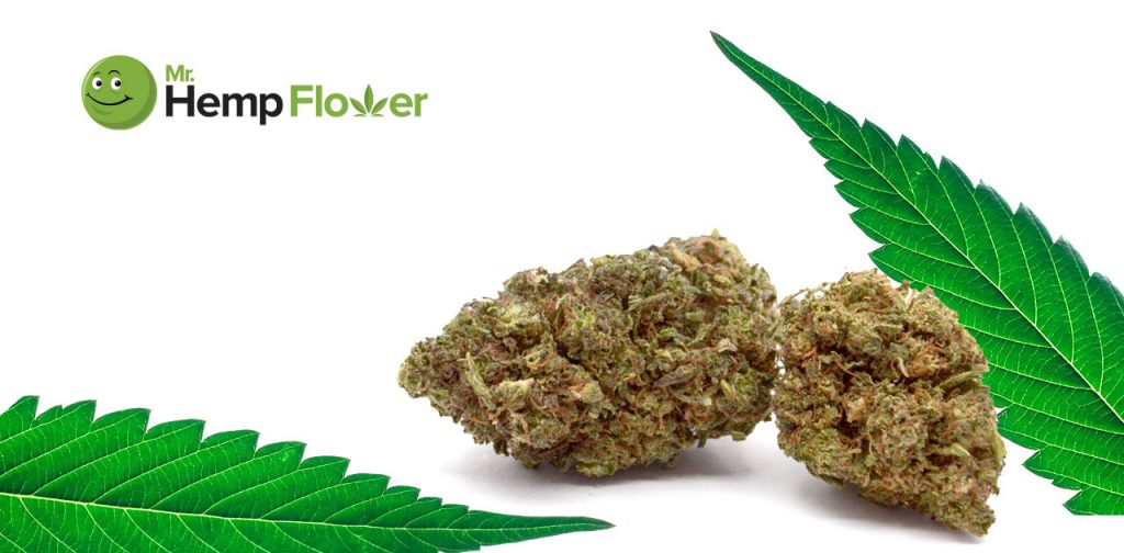 HHC Flower in Maryland Laws