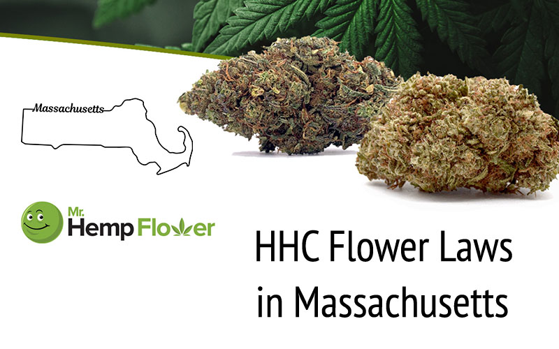 HHC Flower in Massachusetts
