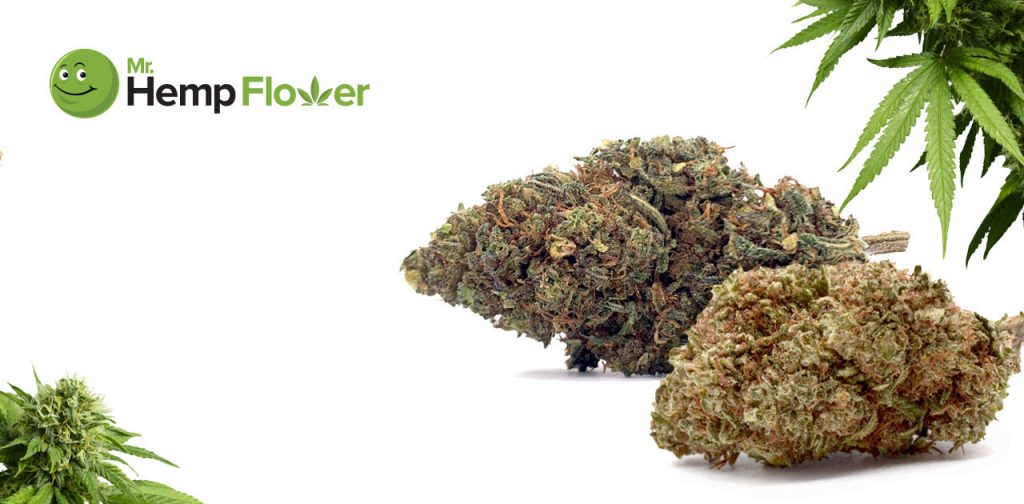 HHC Flower in Minnesota Laws