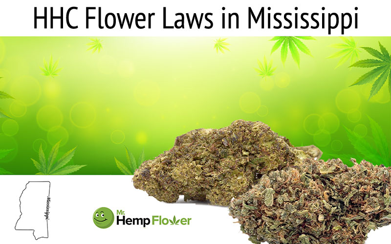 HHC Flower in Mississippi