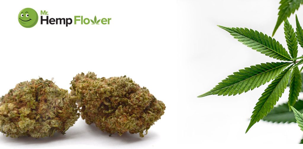 HHC Flower in Missouri Laws