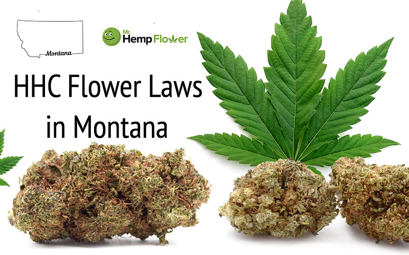 HHC Flower in Montana Laws