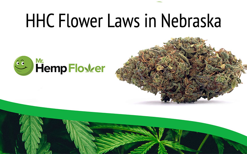 HHC Flower in Nebraska