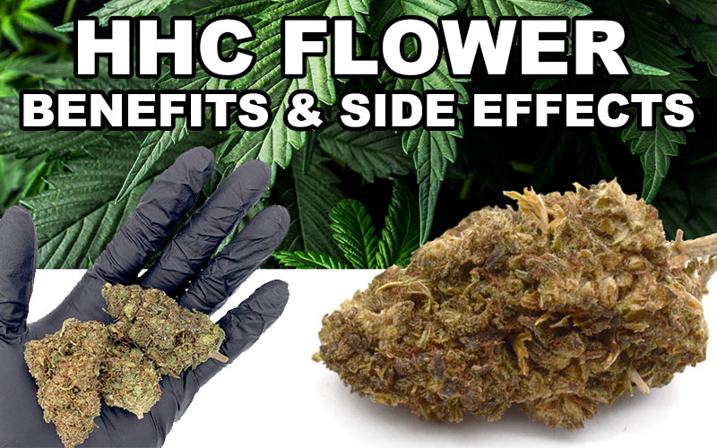 HHC Flower Benefits and Side Effects
