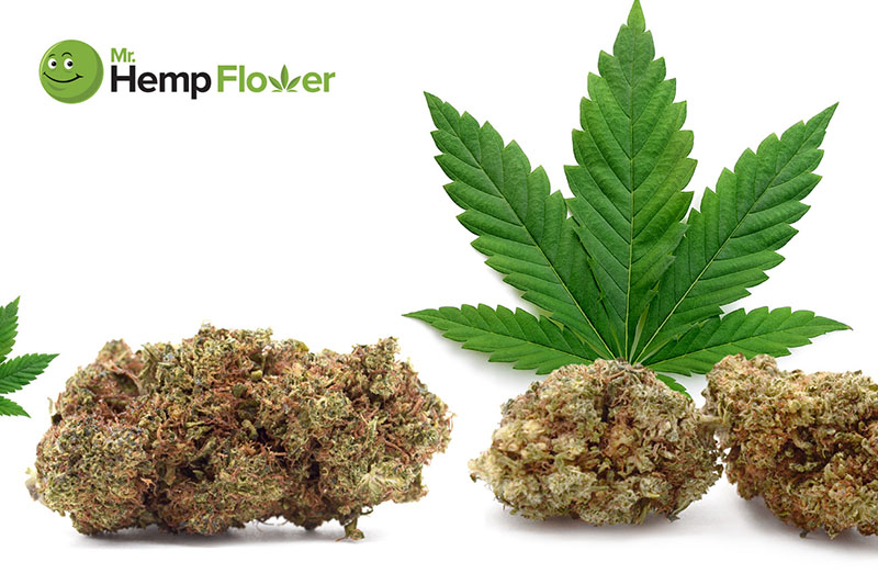 HHC Flower in Utah Laws