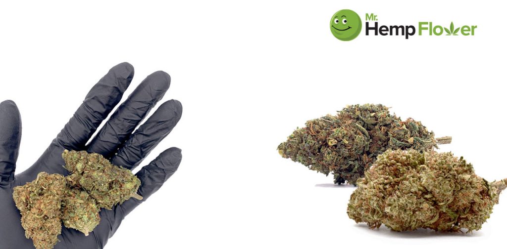 HHC Flower in Virginia Laws