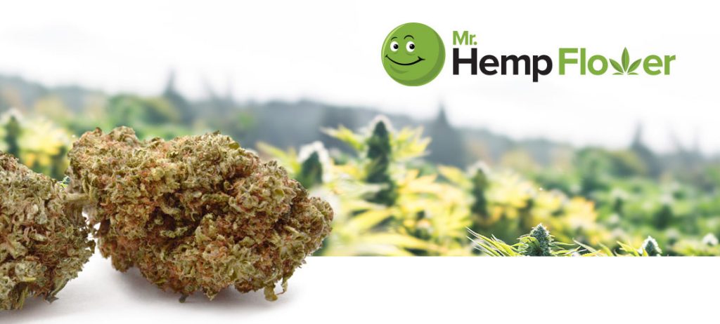 HHC Flower in Washington Laws