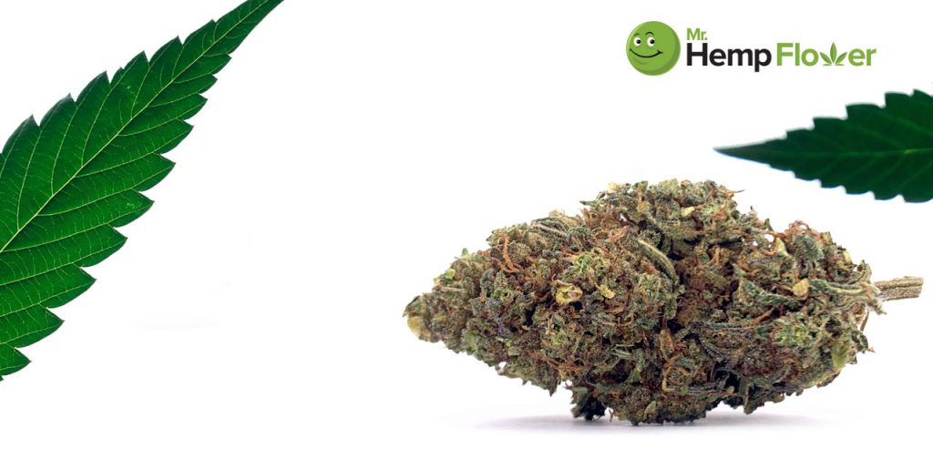 HHC Flower in West Virginia Laws