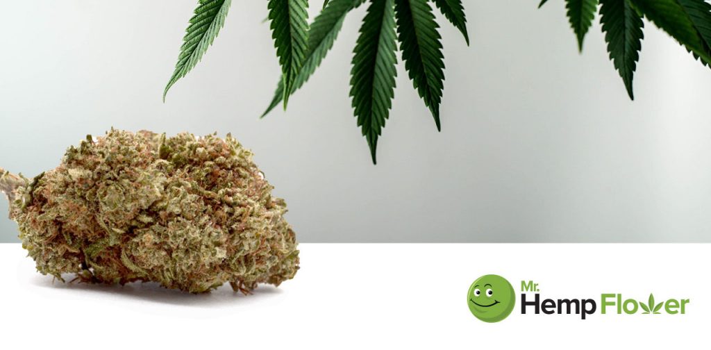 HHC Flower in Wisconsin Laws