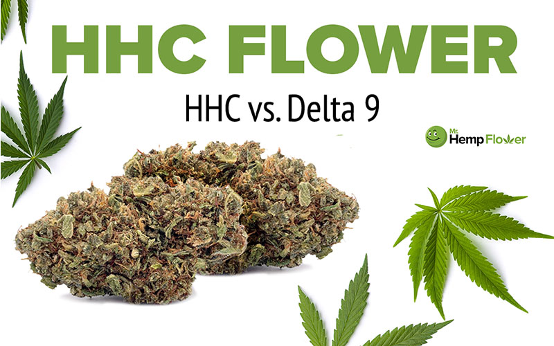 HHC vs Delta 9