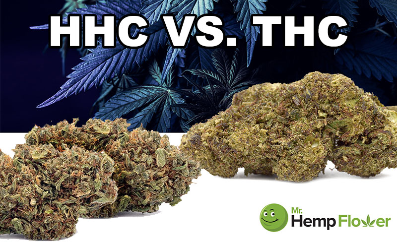 HHC vs THC