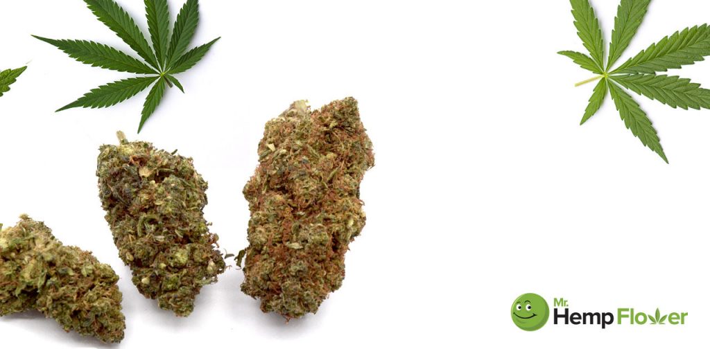 HHC Flower in Wyoming Laws