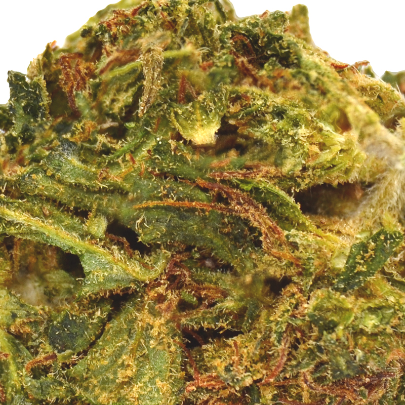 D8-Crunch-Berry Up Close D8-Crunch-Berry Up Close
