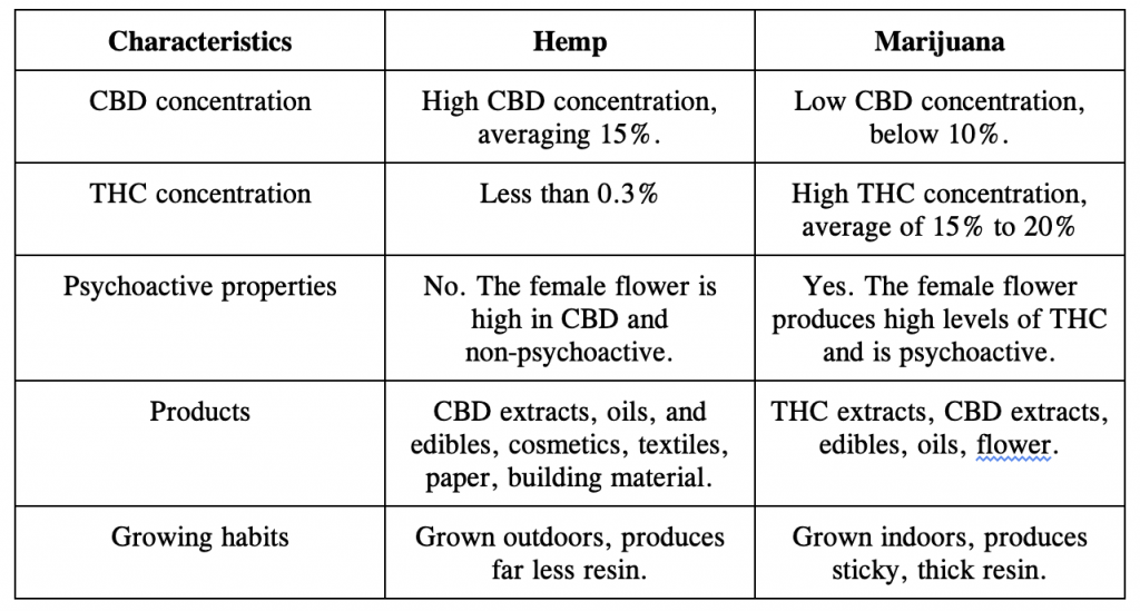 hemp vs marijuana