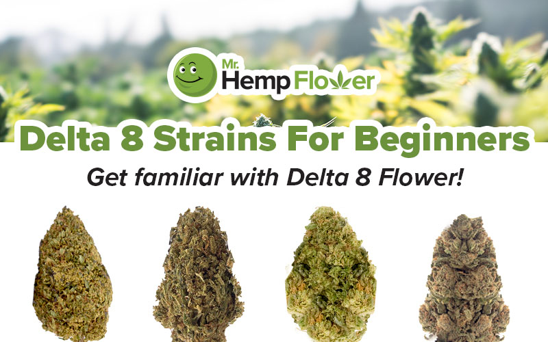 Best Delta 8 Flower
