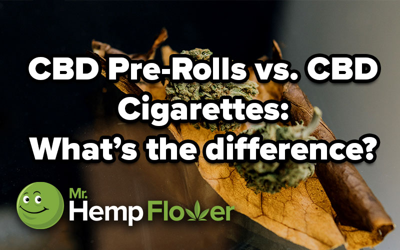 CBD Pre-Rolls vs. CBD Cigarettes