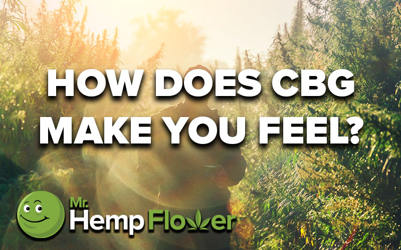 CBG Effects