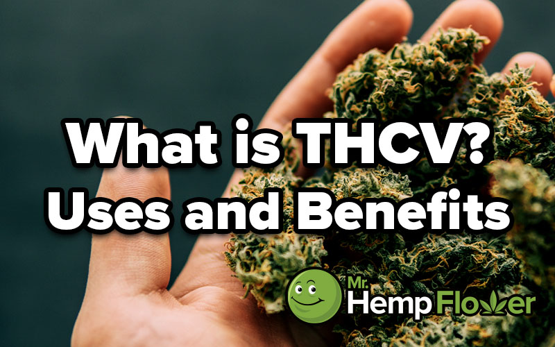 What is thcv