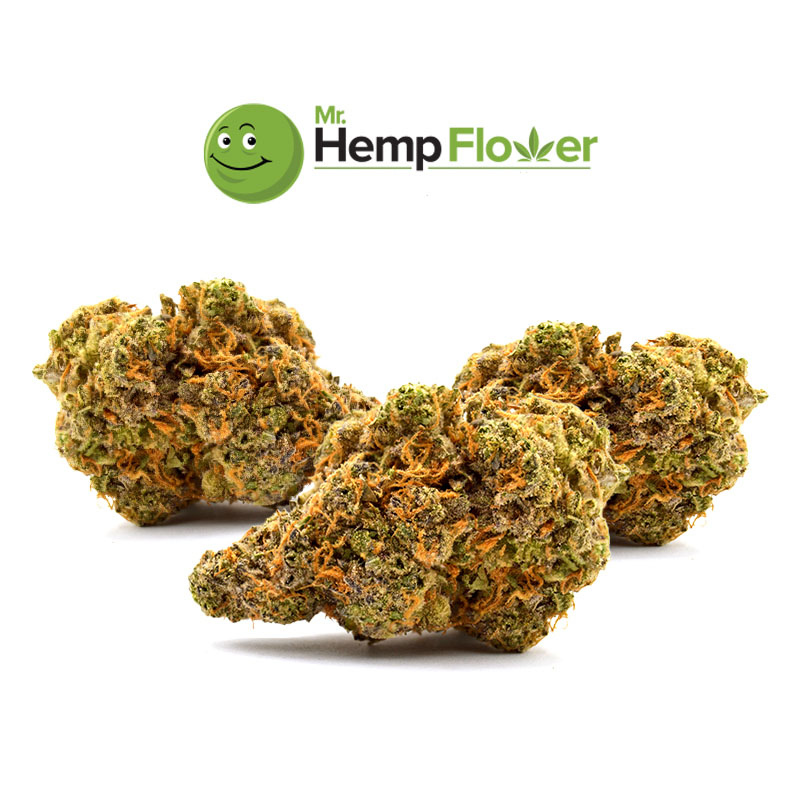 Gary Payton THCa flower buds close-up